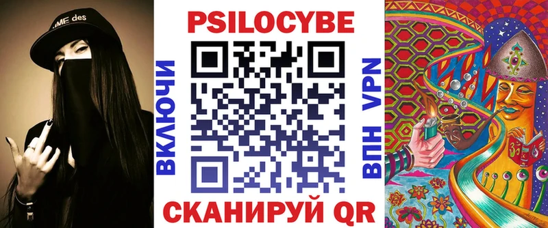 закладка  Заинск  Галлюциногенные грибы Psilocybine cubensis 